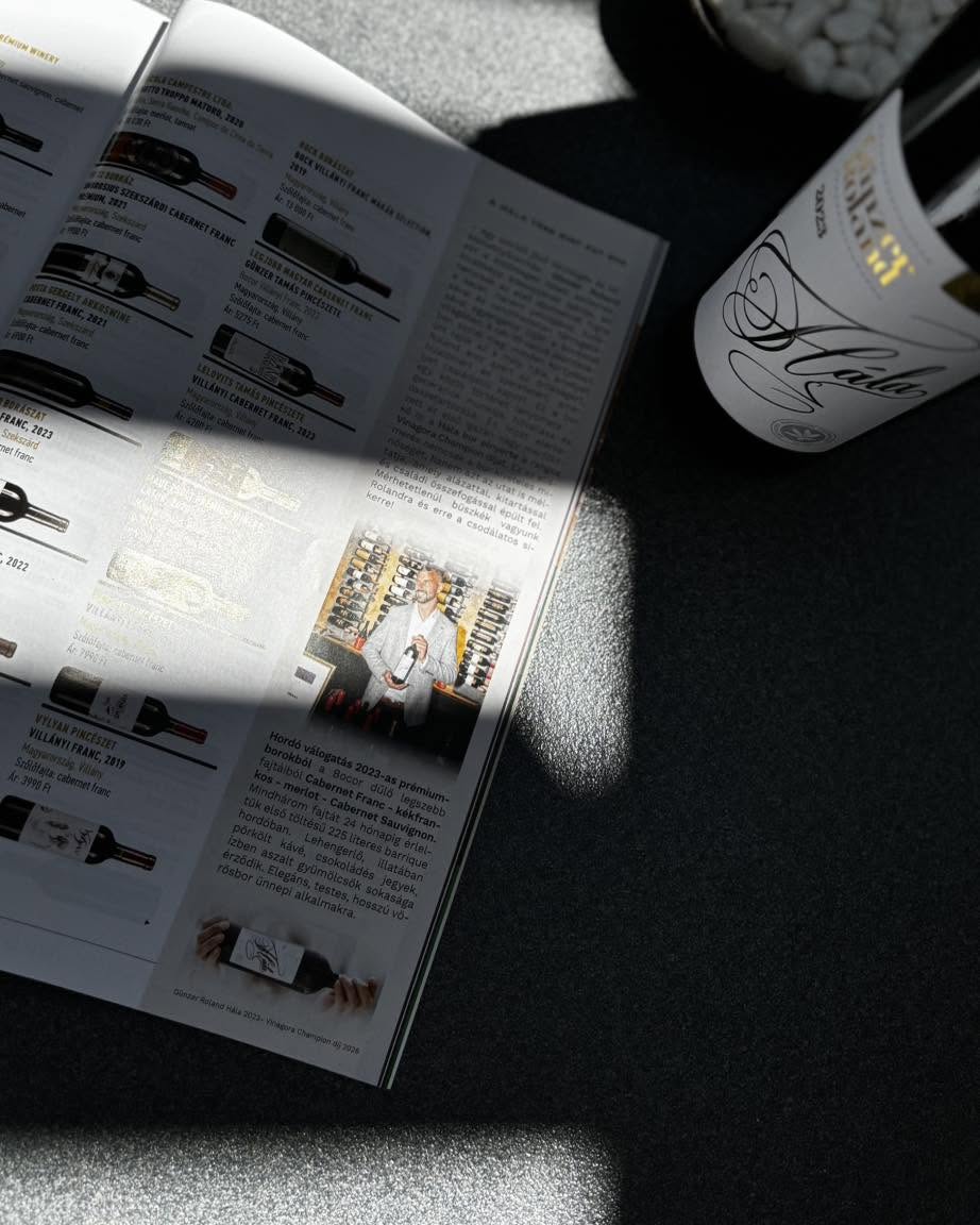 Vince Magazin 1 